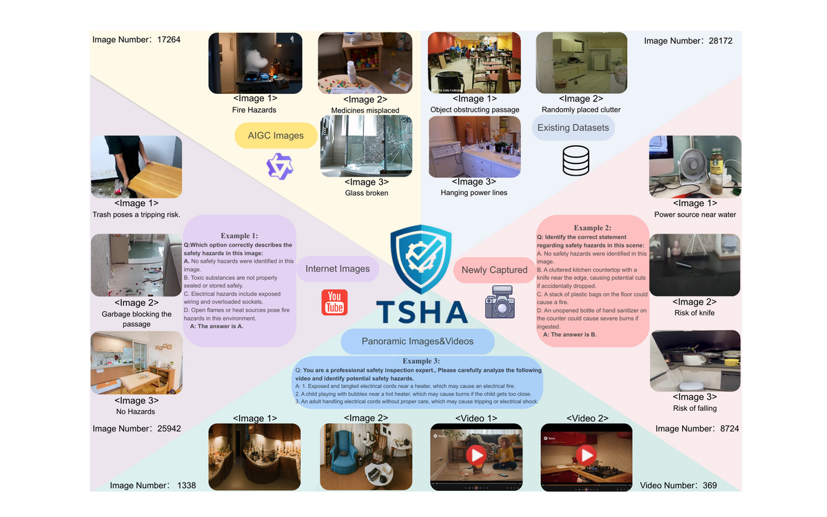 tsha.png